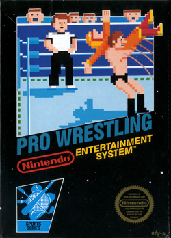 Pro Wrestling rom